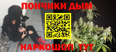 мдпв Будённовск