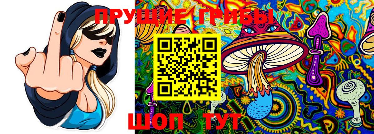 Псилоцибиновые грибы GOLDEN TEACHER Саяногорск